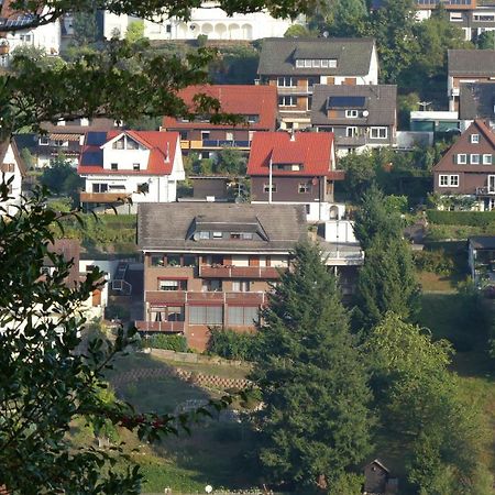 Appartement Haus Krick à Alpirsbach Extérieur photo