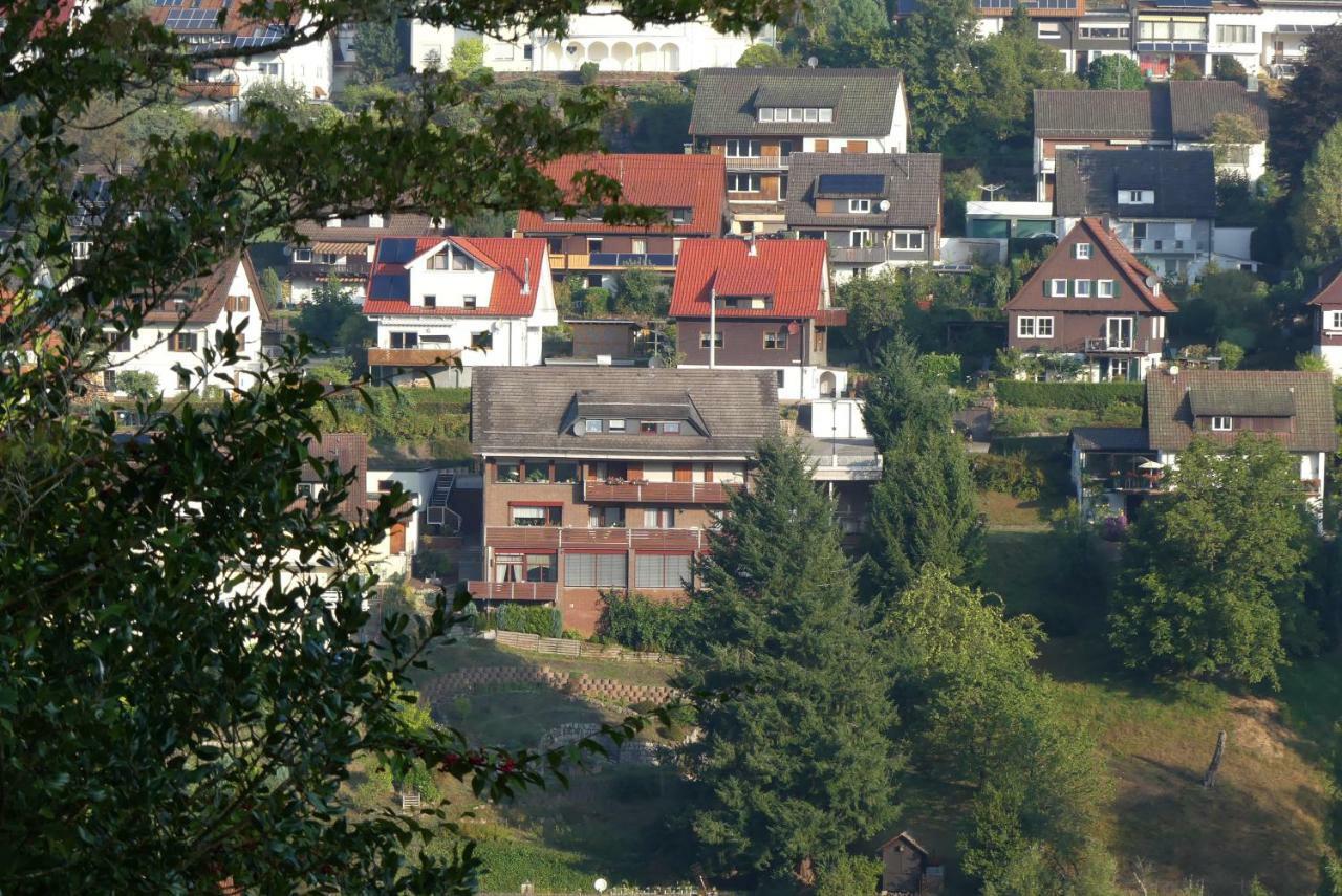 Appartement Haus Krick à Alpirsbach Extérieur photo